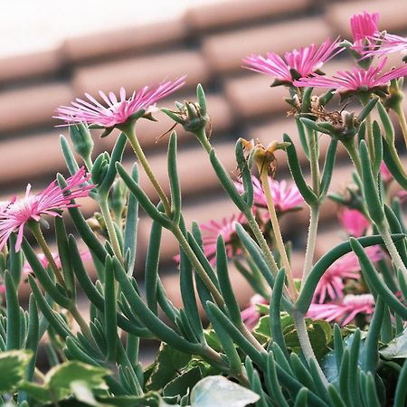 Comecasa Flowery Terraced Apartment Mailand Exterior foto